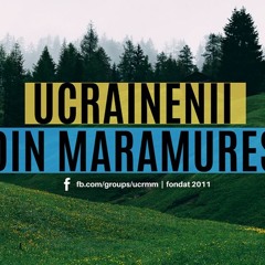 Interviu Radio Sighet