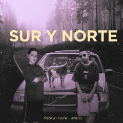 Sur Y Norte - Ñengo Flow X Anuel AA (Agustin Montes Rumbaton Edit)