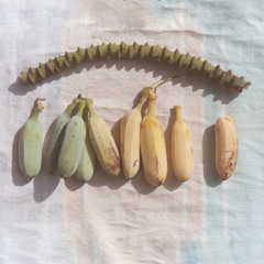 Naomi W / Jamais Vu 0.7