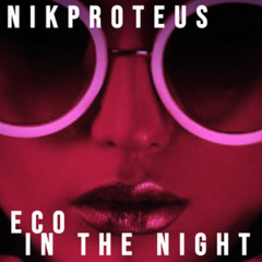 eco in the night