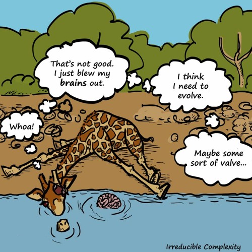 Irreducible Complexity