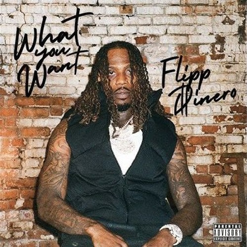 Flipp Dinero ~ What You Want「prod. by Mig, Nofuk & Zemco」
