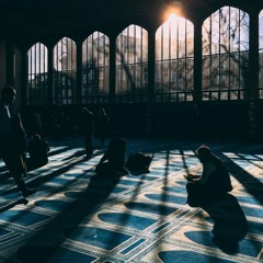 هي دارنا دار الرحيل-محمد محاميد