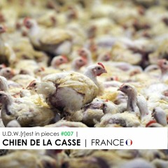 U.D.W.[r]est in pieces #007 | CHIEN DE LA CASSE | FRANCE