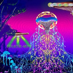 Psylocibe - Noite