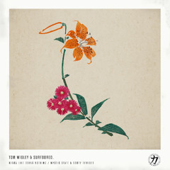 Tom Wigley & surfbored. - Kinda Like Doing Nothing / Mystic State and Sooty Remixes [CKRA058]
