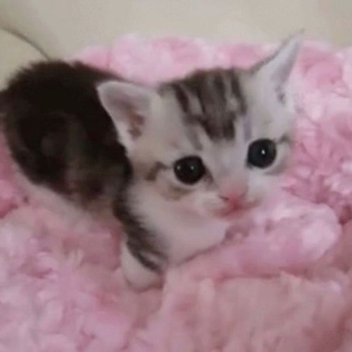 WAITIN 4UR ## CALL (NIGHTCORE)