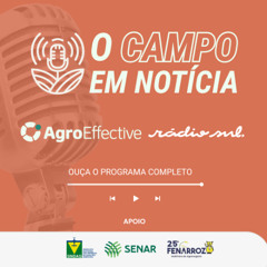 Programa O Campo em Notícia - 10 de Maio de 2025
