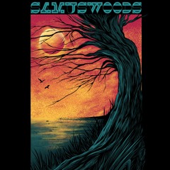Samus Woods - Night Sky