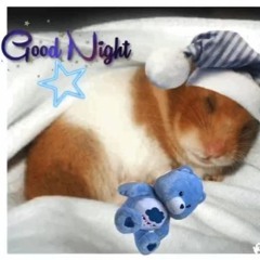 Past Bedtime