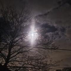 THRILL  [ilyxafreegame]