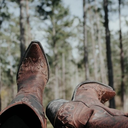 TAILGATE - TEASER