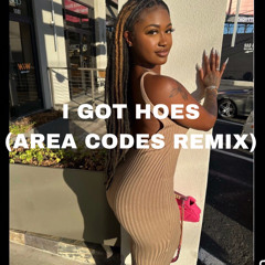 I Got Hoes (Area Codes Remix)