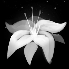 Als Die Blumen Welken