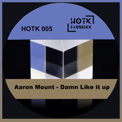 HOTK005_Aaron Mount_Damn Like It Up