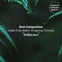 Iridescence - Caleb Cole-Baker (Kingsway School)