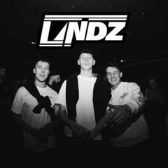 LINDZ 2020 DnB Promo Mix