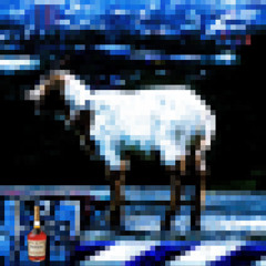 REALHENNYGOAT (prod. smllslikekurtt)