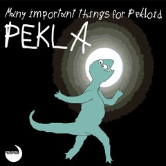 SL007_04 - PEKLA - A Little Warm For The Worm (Original Mix)