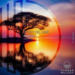 BVGSY DEL MAR - Halcyon [SMLD216]