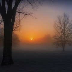 Mist