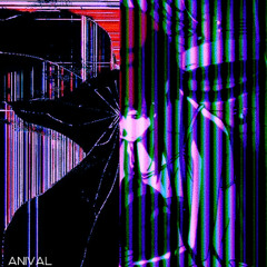 It Really Doesn’t Matter Anymore - Anival