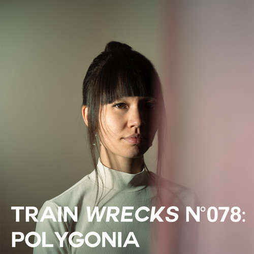 Train Wrecks #078 - Polygonia