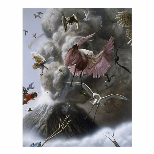 Stream Flight by Alexis Rockman Natalie Delaney, VBCPS Environmental Studies Student by