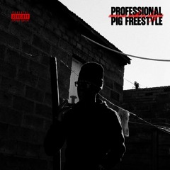 PROFESSIONAL PiG FREESTYLE