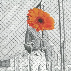 Anche niente è qualcosa