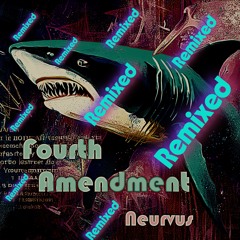Fourth Amendment (Remix)