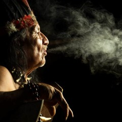 Shamanic Tales [006]