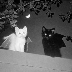 пустой вокзал (mylancore remix)