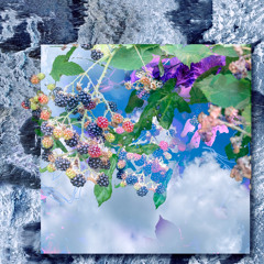 rotterdam_gdby_chaos tappie 08.06.2022