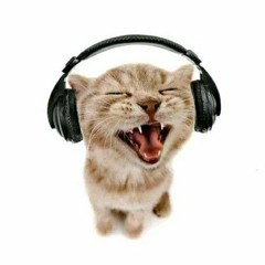 The Kiffness x Lonely Cat   I'm Alone Singin