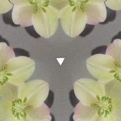 Transmutation of Fear and Uncerntainty