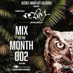 Secret Nightlife Records - Mix of the Month - 002 - Relic1