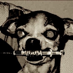 Home- Demo (VANILLA)