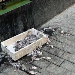 Pequeños destellos de sangre