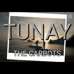 tunay cover.mp3