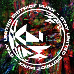 District Punx - Stay United