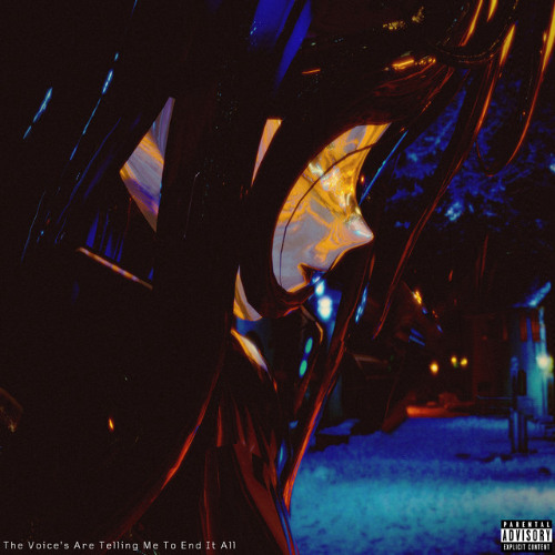 The Voice's Are Telling Me To End It All [Prod.UNKNOWN ATM]