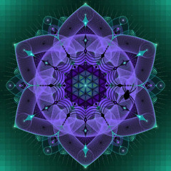 Night 1 Pt. III: Flying High @ Blackforest Pirates_03.10.25