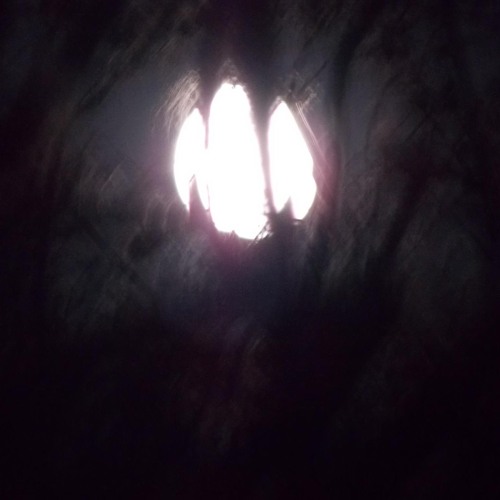 'lunae' 🌙 🐺 (shadowschasingthesun) prod by @jeffshadows (2024 remaster)