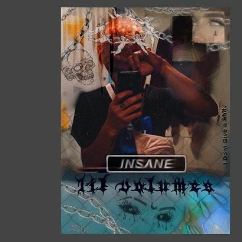 insane (feat. *Lionsmane) [Prod. SUNDS]