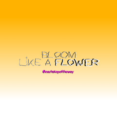 BLOOM LIKE A FLOWER