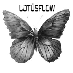 butterfly [lotusflip]