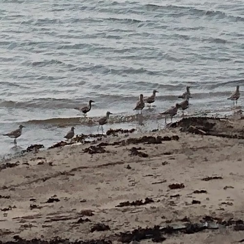 a day on the island