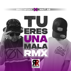 Tú Eres una Mala (Remix) [feat. Brizynfony]