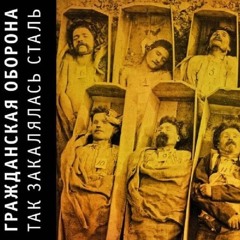 гражданская оборона-солдатами не рождаются